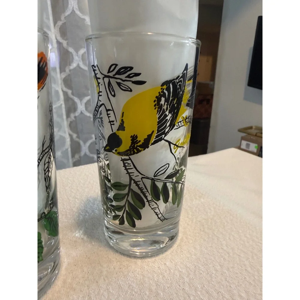 Vintage Bird Drinking Glasses Set of 2 Goldfinch and Oriole Highball Tumblers